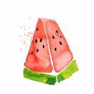 君45506的个人资料头像