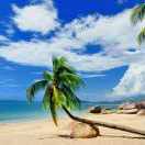 Oliver同志45516的个人资料头像