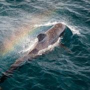 Antares的一些事一些情的个人资料头像