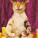 MaggieWinall的个人资料头像