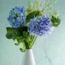 落日圣剑的个人资料头像