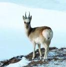 章鱼的个人资料头像