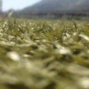 FOCUS丶_62446的个人资料头像