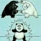 disword的个人资料头像