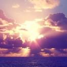 u桥的个人资料头像