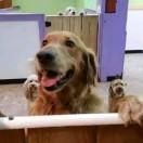 大宇君的个人资料头像