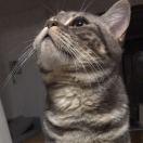 yang同学45663的个人资料头像