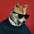 111在掘金的个人资料头像