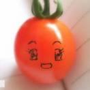 tomato在掘金的个人资料头像