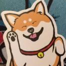 tracerZzz同学的个人资料头像