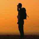 小小宫城狮的个人资料头像