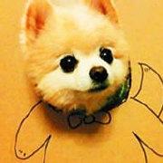 云丶起的个人资料头像