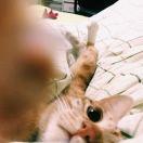 拾指相扣的个人资料头像