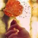 洛阳就是我的个人资料头像