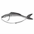 小伟同学45930的个人资料头像