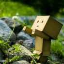 微风同志的个人资料头像