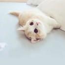 水心念的个人资料头像