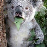 万你没商量的个人资料头像