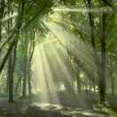 Aaron就是我46184的个人资料头像