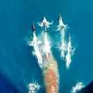 Shaohua葛绍华的个人资料头像