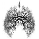 A0雷的个人资料头像