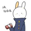 专写Bug的人的个人资料头像