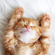 cyang812的个人资料头像