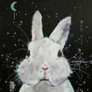 邱添的个人资料头像