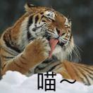 燕燕于飞的个人资料头像