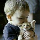 Anthony不想说话46428的个人资料头像