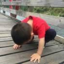 levi酱46433的个人资料头像