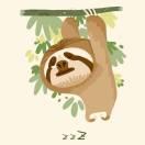 tepcxxzx的个人资料头像