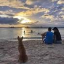 落酱46442的个人资料头像