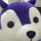 林峰在掘金46486的个人资料头像