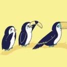 AHOU46511的个人资料头像