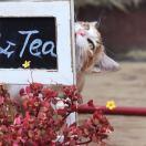 阿刚学长的个人资料头像