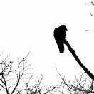 yy同志46541的个人资料头像