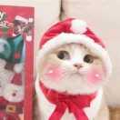 喵神很无聊的个人资料头像