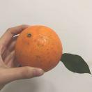 Amberself的个人资料头像