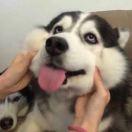 万之君的个人资料头像