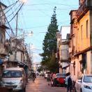 范晶晶的个人资料头像