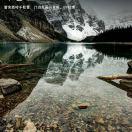 苏伟的个人资料头像