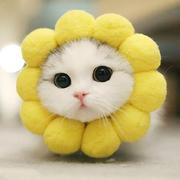 Alice2222的个人资料头像