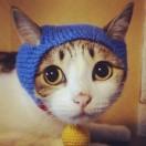 阿飞在掘金46903的个人资料头像