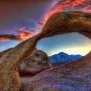 一生倾哲的个人资料头像