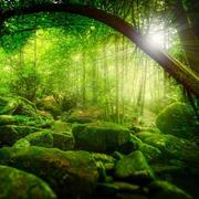 fangjm56的个人资料头像