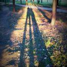 CL7R就是我的个人资料头像