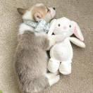 Amui的个人资料头像