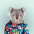 Hale就是我的个人资料头像