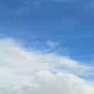 YangF的个人资料头像